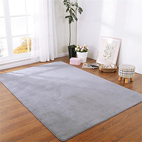 Alfombra de Terciopelo Coral Grueso de Color sólido Calidad Atenas gris Suave Lavable Antideslizante Grande Rugs Rug Minimalista Moderna Sala De Estar Dormitorio Tatami Gateando Estera -120×140cm