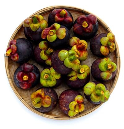 mangostansamen winterharte kübelpflanzen exotische winterharte stauden obstsamen balkon balkonpflanzen winterhart - Seltene - dekopflanzen obstbaum 20samen