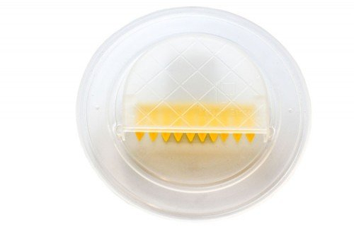 Germerott Bienentechnik 4 x Bienenflucht mit Klappen Preis pro Stück 3,78 Euro