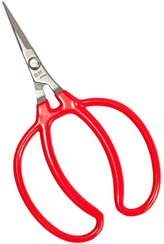 RANSHOU Gartenschere, 15,7 cm, scharfe japanische Edelstahlklinge, Präzisions-Hand-Gartenschere zum Trimmen von Obst, Gemüse, Blumen, hergestellt in Japan