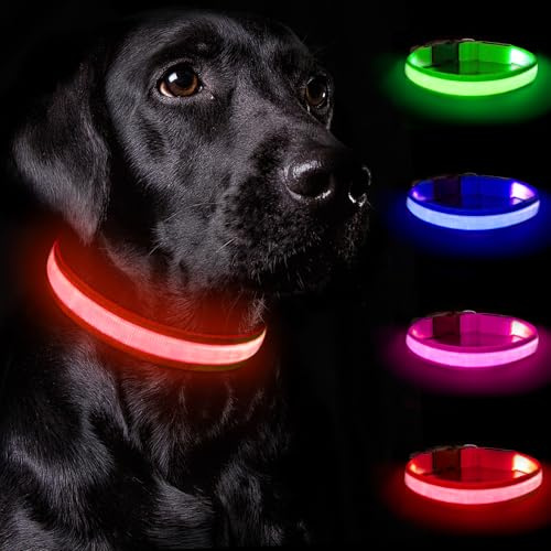 Nepfaivy Leuchthalsband Hund USB Aufladbar - Hundehalsband Leuchtend mit Verstellbarer Länge für Mittelgroße bis Große Hunde, LED Halsband Hund mit 3 Beleuchtungsmodi für Nacht Sicherheit, (Rot-M)