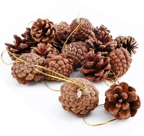 Lukinuo Tannenzapfen Hängende Ornamente 18 Stück Weihnachten Tannenzapfen Natürliche Kiefer Kegel natürlich Weihnachtsdekoration zum Aufhängen für Home Weihnachtsbaum Winterdekoration