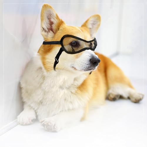 Protective Eye Cover for Small, Medium & Large Dogs & Cats - Lightweight Mesh Eyewear for Eye Injuries & Wounds