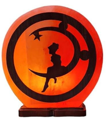 Saltbay Lampe de sel Himalaya 3D La fée et la Lune Taille L avec variateur de lumière