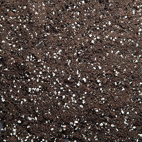 Premium Houseplant Potting Mix with activated Biochar, potting soil for indoor plants (30L)