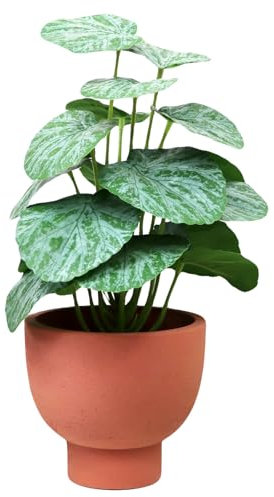 Darthome Artificial Chinese Money Plant 33cm In Paper Pot Terracotta Faux Realistic Houseplant