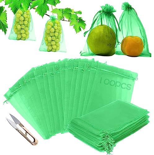 Traubenschutzbeutel,100 Stück Obst Schutzbeutel mit Zugband 20x30CM,Weintrauben Schutzbeutel Zum Schutz vor Wespenfrass,Kirschessigfliege und andere Insekten,Schützen Sie das Obst (Grün)