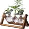 Desktop Hydroponik Glasvase, Hydrokultur Pflanzen Vase, Deko Holz Halter mit Hydroponik, Pflanzenhalter Hydroponische Glasvase, für Schlafzimmer, Wohnzimmer und Bürodekoration (3 Bulb Vase)