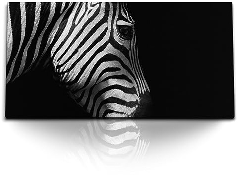 Paul Sinus Wandbild 120x60cm – Faszinierendes Zebra in Schwarz-Weiß auf Leinwand, stilvolles Tierportrait