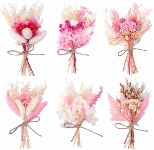 6 Bündel Mini Trockenblumenstrauß, Mini Trockenblumenstrauß Boho | Getrocknete Blumenstrauß Klein Trockenblumen Rosa für Geschenkverpackungen, DIY, Bastelarbeiten, Tagebuch & Bilderrahmen Deko