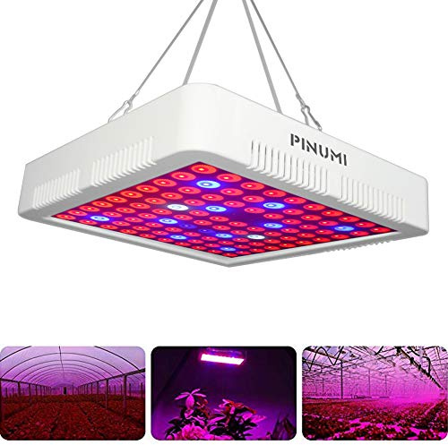LED Cultivo Lámpara de Plantas 300W Full Spectrum LED Planta Crece la luz Hidroponico Grow Led para Interior y Invernaderos Jardin y Flor Hidropónico Crecimiento