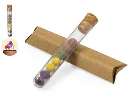 KaTunn - Bomba de Semillas para Huerto en Casa - Kit de Huerto con Semillas de Albahaca, Hinojo, Perejil y Orégano - Ideal para Mini Huerto en Casa - Cultivo de Plantas Fácil y con Instrucciones