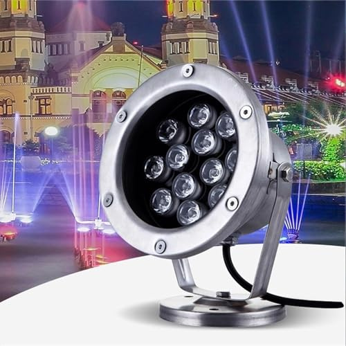 GUODDM Luci Subacquee A LED RGB per Laghetti, Lampada per Fontana Sommergibile da 12 V, Faretto in Acciaio Inossidabile Impermeabile IP68, Luce da Giardino Regolabile(Yellow,12w)