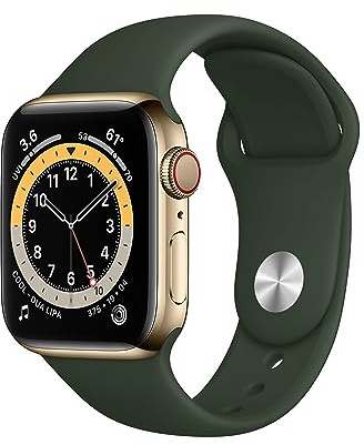 Apple Watch Series 6 (GPS + Cellular, 40 mm) Edelstahlgehäuse Gold, Sportarmband Zyperngrün