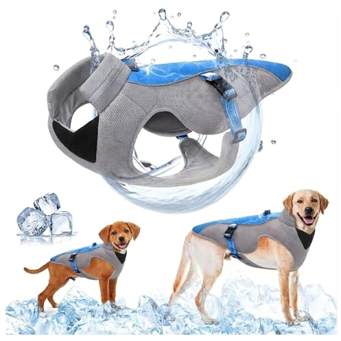 Verbesserte Hundekühlweste mit Geschirr D-Snap, Sonnenschutz für den Sommer beim Laufen - Reflektierende Streifen, atmungsaktives Mesh - Sportlicher Kühlmantel für kleine, mittlere und große Hunde, L