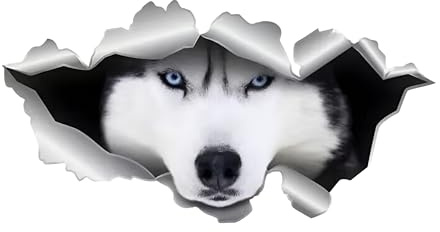 Autoaufkleber Husky Aufkleber 15cm(5.9 Inch) Husky Car Sticker 3D Zerrissen Autoaufkleber Personalisiert Haustier Hund Reflektierende Aufkleber Schlittenhund Lustig Wasserdichte Sticker Dekor