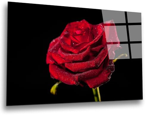 INDIGOS UG Luxus Glasbild - rote Rose - 80x50 cm - ESG Echtglas bedruckt - Glasdruck - Wohnzimmer, Küche, Schlafzimmer, Badezimmer - Geschenk - Deko, Wandbild