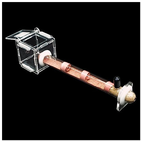 KXCR Test Tube Ameisennest Ameisenfarm Formicarium Display Box Fütterungshaus Für Ameisen Insekten Züchten Haus Ameisen Farmen Set Villa Ant Nest Geburtstagsgeschenk Geschenk (Color : E)