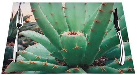 Woven Placemat 6 PCS Heat-Resistant Easy to Clean Suitable for Outdoor Parties Casual Kitchen Decoration Table Accessories 12x18in Agave Cactus Picture