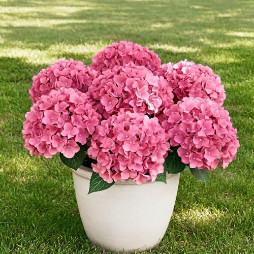 7 Bundles Faux Hydrangea Flowers Outdoor with 35 Heads,Artificial Hydrangea Flowers, UV Resistant Hydrangeas, for Garden, Porch, Yard, Outdoor Wedding Decoration. (Bean Paste)