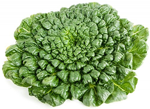 Tatsoi - Milder Col Mostaza - Mín. 100 Semillas