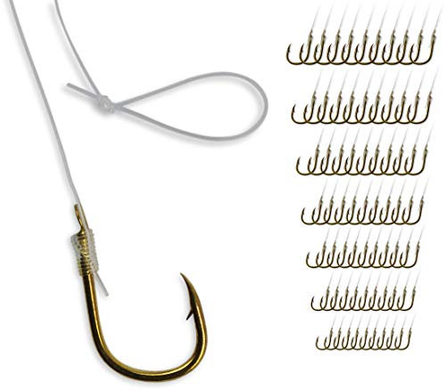 Storfisk fishing & more - Anzuelos para carpas (incluye anzuelo japonés de 60 cm), Set