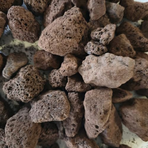 Der Naturstein Garten Lava Mulch 16-32 mm, 12,5 kg – Natürliches Lavagestein als Dekoration, Bodenaufbereitung und zuverlässigen Schneckenschutz