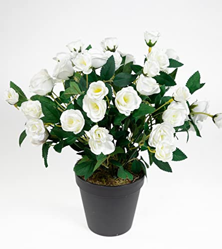 Seidenblumen Roß Rosenbusch 30cm weiß im Topf ZF Kunstpflanzen Kunstblumen künstliche Blumen Rosenstrauch Rosen