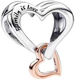 SpetngSake 1 Stück Charms Herz,Armband & Beads für Damen,Mode Moments Charms Kompatibilität,Herzbändern Charm Anhänger für Valentinstag,Jeden Anlass, Wie Weihnachten,Muttertag,Geburtstag