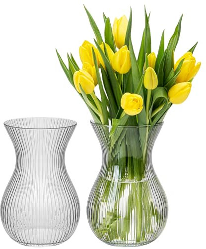 KONZEPT Lot de 2 Vases à Fleurs en Verre 18 cm de Haut, ⌀ 11 cm, Vase pour Tulipes Transparent, Passe au Lave-Vaisselle - Petit Vase pour décoration de Table Lors de Mariages et de fêtes