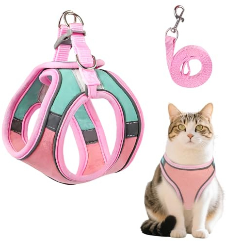 MOTIBACK Katzengeschirr mit Leine Ausbruchsicher, Atmungsaktives, Leichtes Katzengeschirr mit Verstellbarem Brustgurt für Sichere Spaziergänge, Fluchtfestes Kitten-Hundegeschirr für Kleine Hunde (L)