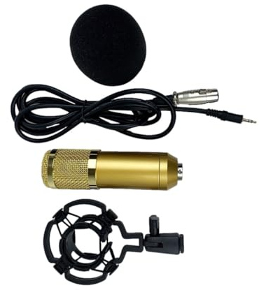 TEHAUX Microfono a Condensatore BM-800 a Doppia Maglia Elastica Oro | Testa Sonora a Grande, Bassa Rumorosità, Resistenza alla Caduta, Corpo in Plastica Anticorrosione