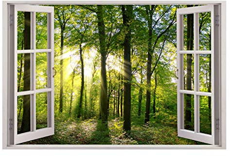 213 Wandtattoo Fenster - grüner Wald Forst mit Bäumen Größe 1250 x 830 mm