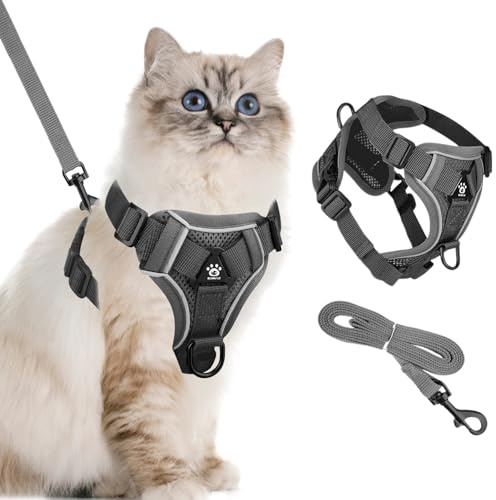 Arnés Gatito con Correa, Arnés para Gato Ajustable con Correa de 1,5M, Arnés Pecho de Gato Transpirable Reflective, Cuerda de Gatos para Cachorros, Conejos, Conejos (S)