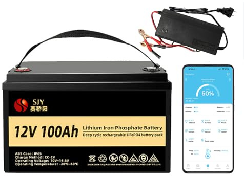 12V 100Ah LiFePO4 con 10A Cargador y Bluetooth, Construir en 100A Smart BMS Deep Cycle Grado A Batería de Litio 1280Wh per Off-Grid, RV, Barca, Camper, Rimorchio da Viaggio