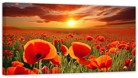 ZXHYWYM Blumen Leinwand Wanddrucke rote Mohnblumen Bilder großes Blumenfeld Gemälde Naturlandschaft Wanddekoration für Wohnzimmer Esszimmer Badezimmer mit Rahmen (B (50.00 x 100.00 cms))