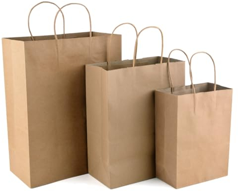 Papiertüten mit henkel 50Stück Geschenktüten Papiertaschen,Kraftpapier Tüten für Kindergeburtstag/Brottüten/Geburtstagstüten/Geschenkpapier aufbewahrung/Verpackungen/Hochzeit,Papiertüten für Biomüll