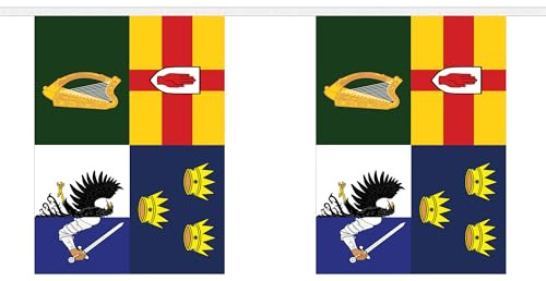 Banderines gigantes de Irlanda de las 4 provincias con 32 banderas de 20 metros FlagSuperstore