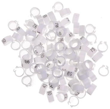 SUPVOX 100PCS Mixed Color Open Pigeon and Parrot Foot Rings Bird Identification Bands for Racing and Breeding Bright Bird Leg Bands for Cockatiels Parakeets and Pigeons Random Color