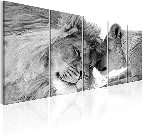 murando Acrylglasbild Löwe 200x80 cm 5 Teilig Wandbild auf Acryl Glasbilder Kunstdruck Moderne Acrylglas Platte Wanddekoration Geschenke Heimdekoration Glasbild - Tiere Afrika Liebe g-B-0061-k-p
