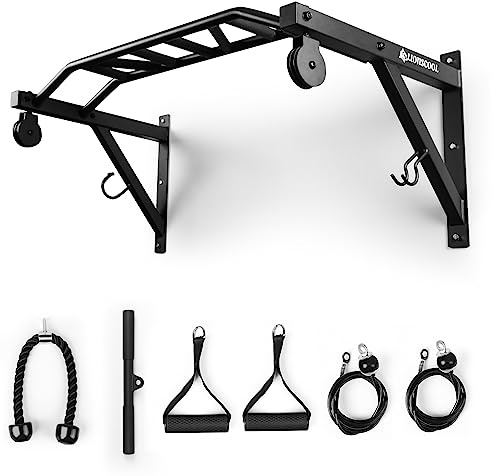 LIONSCOOL Multifunctional Wall Mounted Pull Up Bar with Pulley System (48 APART)