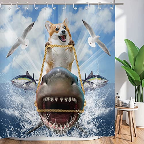 ASDCXZ Duschvorhang Lustig Tier 180x200 cm, Lustig Hund Fahrt Hai Ozean Abenteuer Bad Waschbar Textil Badezimmer Vorhänge Polyester Stoff Wasserdicht Duschvorhänge für Badewanne mit 12 Haken