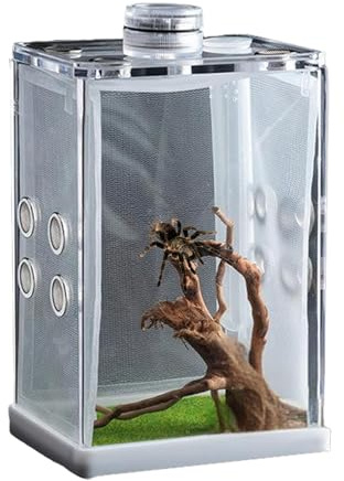 Sprungspinnengehäuse, Spinnen -Terrarium, Acrylspinnen -Fütterungsbox, Sprungspinnen -Lebensraum -Reptilien -Zuchtbox, Reptilien und Amphibienversorgung für Amphibien, kleine Reptilien