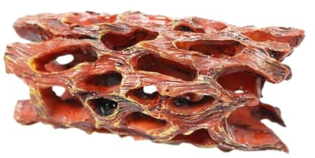 Garnelenhöhle, dekoratives Fischhaus, natürliche Harzzuchtverstecke, Ruhtunnel, robuste Konstruktion, 10,5 x 5,5 x 4,5 cm, für Aquarium, Betta-Aquarium-Dekorationen