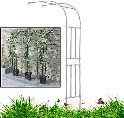 Demi arche en métal à fixation murale pour jardin, arche de rose, pergola, portail extérieur, chemins, facile à assembler, blanc, 60 x 240 cm (l x H)