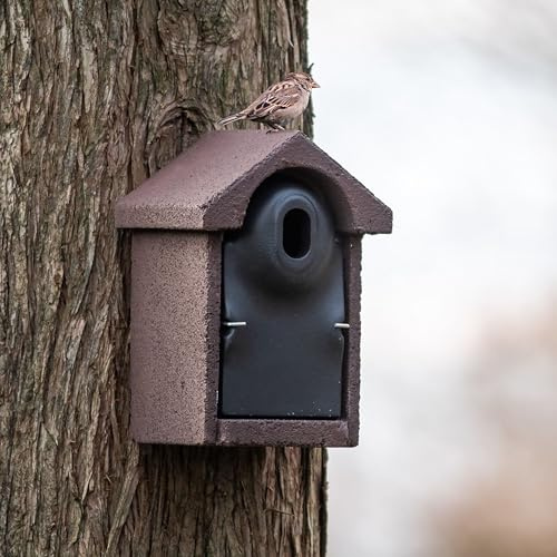 CJ Wildlife Nistkasten – Vogelnistkasten für draußen Wetterfest – Woodstone® 32 mm Oval-Einflugloch – Langlebig und Räuberschutz – Für Meisen, Kleiber, Feldsperlinge