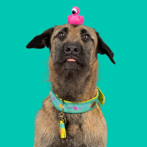 Dog with a Mission - Hundehalsband S | Chogogo | Leder Türkis, rosa, gelb | Hübsch, Boho, Hippie | Mittelgroße Hunde | Handgemacht | Modisch und Bunt | Weichem Echtes Leder | Luxe | 2,5 cm Breit