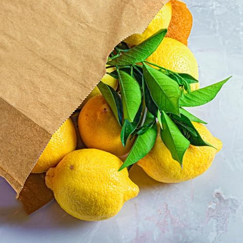 semillas de limonero, interior, limonero resistente, para el jardín, fresca, 125pcs