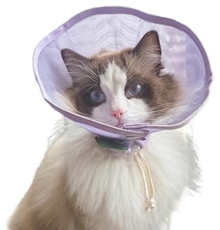Collare a Cono Protettivo per Cani Chiusura con Laccio Regolabile | Cono protettivo in mesh da collare canino Per Esterni, Viaggi, Passeggiate, Taglie Piccole, Medie, Grandi, Cuccio