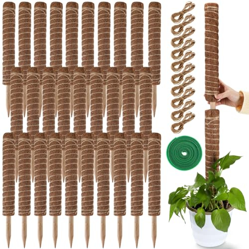 30 Stück Moosstangen für Pflanzen, Monstera, 41.5 cm, Monstera-Pflanzenunterstützung mit 10 Stück 16.5 m Juteseil und 18 m grünes Pflanzenband für Innen- und Außenbereich, Kletterpflanzen th
